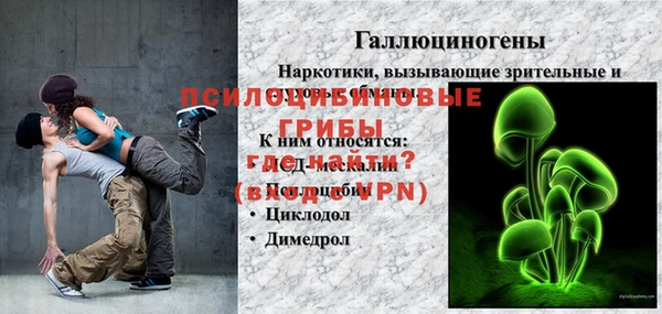 ПСИЛОЦИБИНОВЫЕ ГРИБЫ Магас