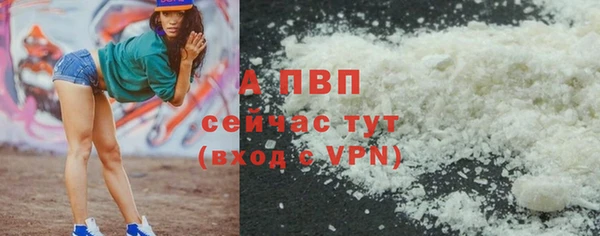 ПСИЛОЦИБИНОВЫЕ ГРИБЫ Магас
