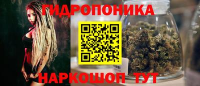 амф Кандалакша