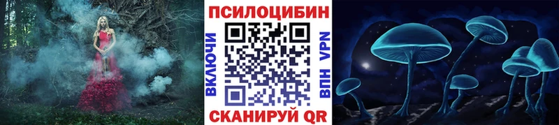 Псилоцибиновые грибы мицелий  Севастополь 