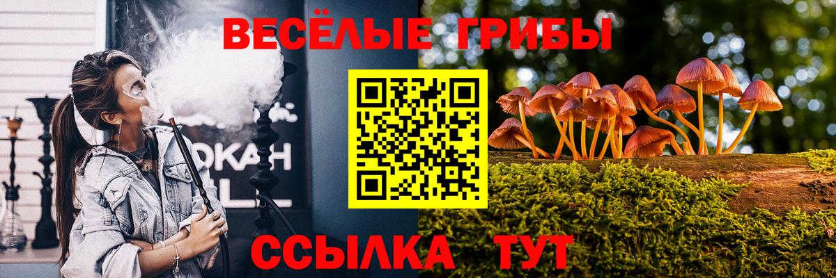 Псилоцибиновые грибы мухоморы  купить наркоту  Севастополь 