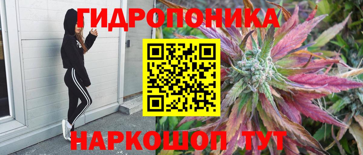 Конопля семена  Канабис индика  Вход с VPN  Севастополь 